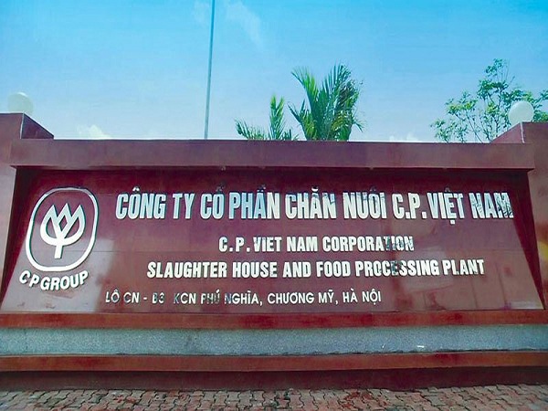 Phạt tù 11 nhân viên Công ty CP Việt Nam chiếm đoạt 3,4 tỷ đồng