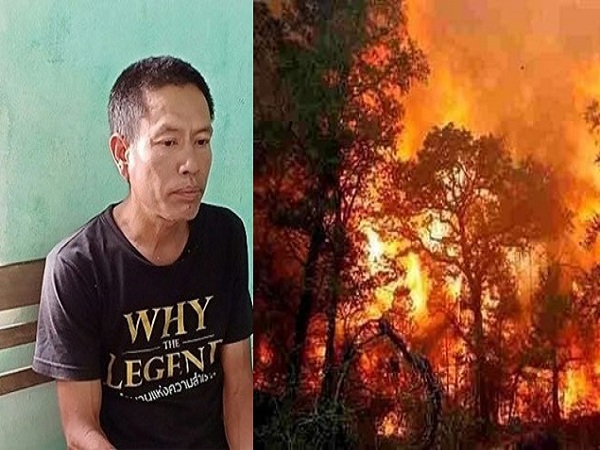 Khởi tố, bắt tạm giam kẻ liên quan đến vụ cháy rừng ở Hà Tĩnh