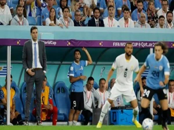 Tin bóng đá 3/12: HLV Uruguay đổ lỗi cho đội tuyển Bồ Đào Nha
