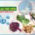Các loại rau có màu xanh đậm