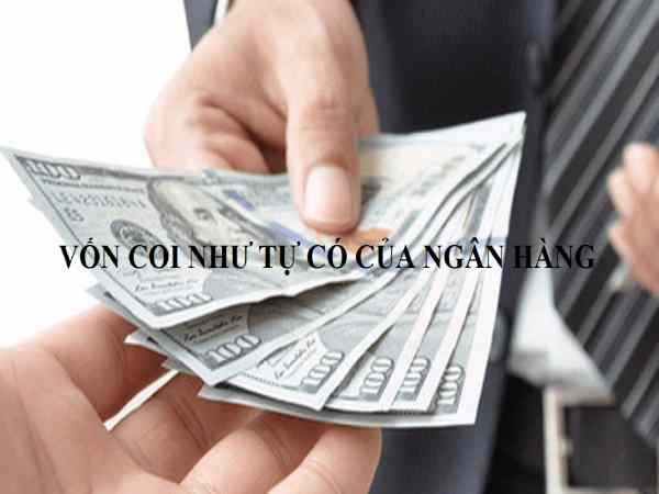 Vốn Tự Có Là Gì?