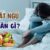 mất ngủ nên ăn gì