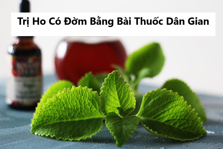 Trị Ho Có Đờm Bằng Bài Thuốc Dân Gian