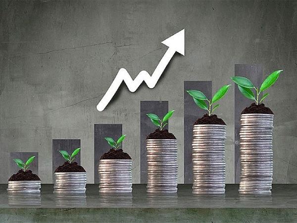 Hướng dẫn xây dựng danh mục đầu tư hiệu quả 2025