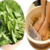 bài thuốc ngâm chân trị đau khớp