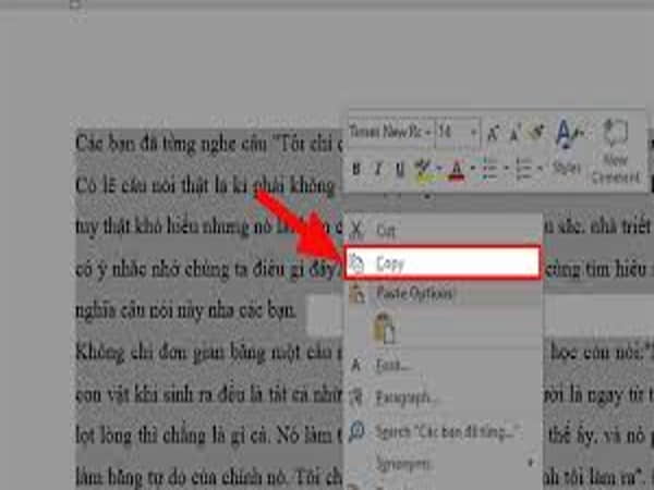 Cách copy 1 trang Word sang tài liệu khác
